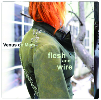 flesh_and_wire.jpg